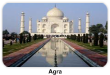 A.P TRAVEL HOUSE