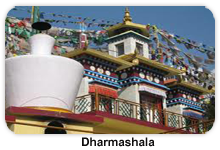 A.P TRAVEL HOUSE