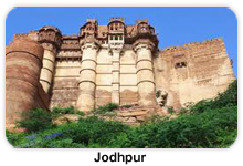 A.P TRAVEL HOUSE