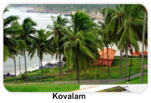 A.P TRAVEL HOUSE