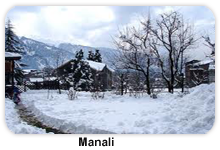 A.P TRAVEL HOUSE