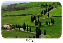 A.P TRAVEL HOUSE