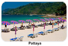 A.P TRAVEL HOUSE