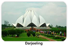 A.P TRAVEL HOUSE